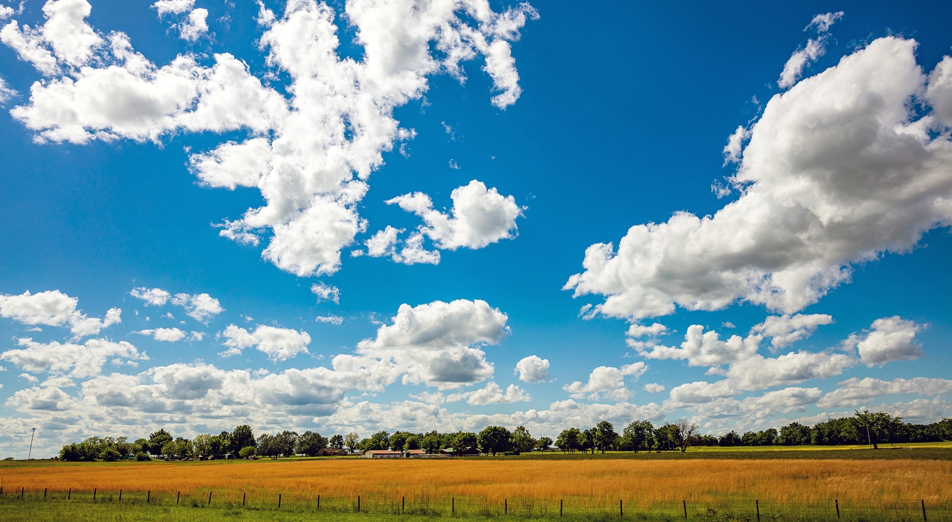 White clouds in a blue sky